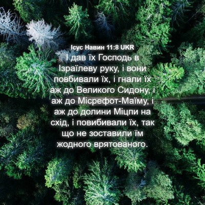 Picture 04 - Ісус Навин 11:8 UKR - І дав їх Господь в - Bible Verse Picture