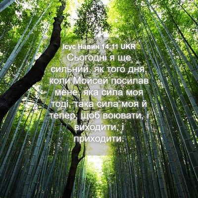 Picture 04 - Ісус Навин 14:11 UKR - Сьогодні я ще сильний, як - Bible Verse Picture