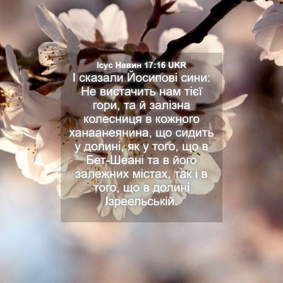 Picture 04 - Ісус Навин 17:16 UKR - І сказали Йосипові сини: Не - Bible Verse Picture