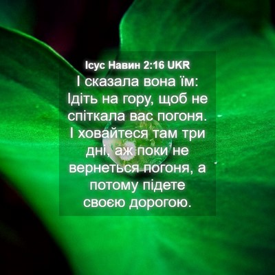 Picture 04 - Ісус Навин 2:16 UKR - І сказала вона їм: Ідіть на - Bible Verse Picture
