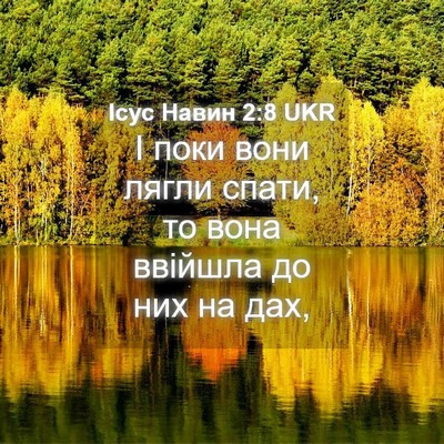 Picture 04 - Ісус Навин 2:8 UKR - І поки вони лягли спати, то - Bible Verse Picture