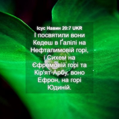 Picture 04 - Ісус Навин 20:7 UKR - І посвятили вони Кедеш в - Bible Verse Picture