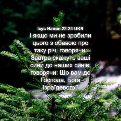 Picture 04 - Ісус Навин 22:24 UKR - і якщо ми не зробили цього - Bible Verse Picture