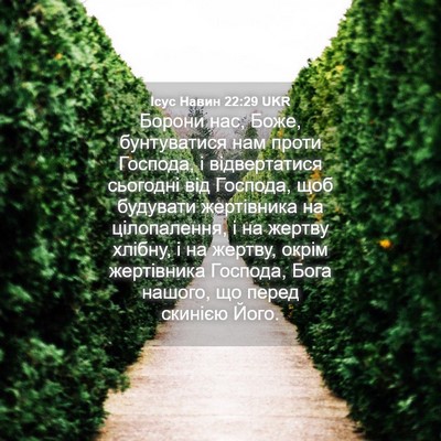 Picture 04 - Ісус Навин 22:29 UKR - Борони нас, Боже, - Bible Verse Picture