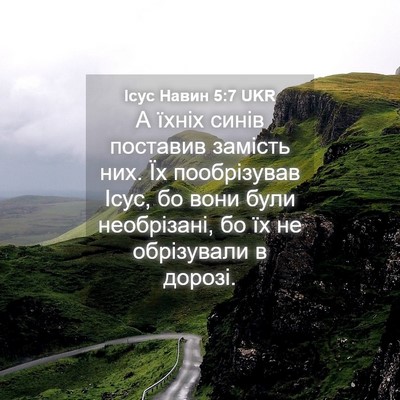 Picture 04 - Ісус Навин 5:7 UKR - А їхніх синів поставив - Bible Verse Picture