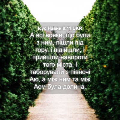 Picture 04 - Ісус Навин 8:11 UKR - А всі вояки, що були з ним, - Bible Verse Picture