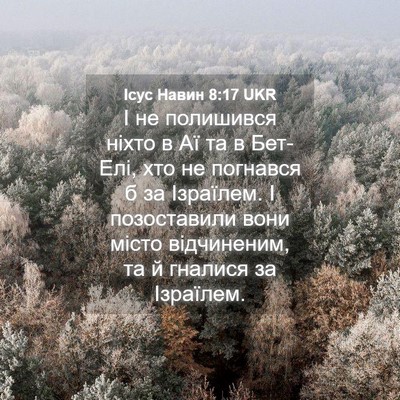 Picture 04 - Ісус Навин 8:17 UKR - І не полишився ніхто в Аї - Bible Verse Picture