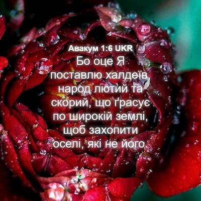 Picture 04 - Авакум 1:6 UKR - Бо оце Я поставлю халдеїв, - Bible Verse Picture