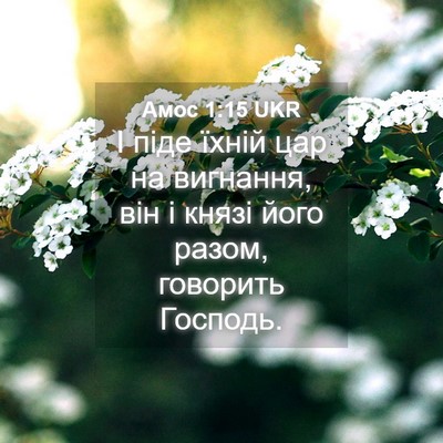 Picture 04 - Амос 1:15 UKR - І піде їхній цар на - Bible Verse Picture