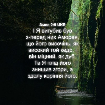 Picture 04 - Амос 2:9 UKR - І Я вигубив був з-перед них - Bible Verse Picture