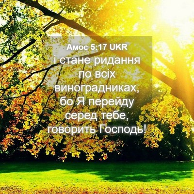Picture 04 - Амос 5:17 UKR - і стане ридання по всіх - Bible Verse Picture