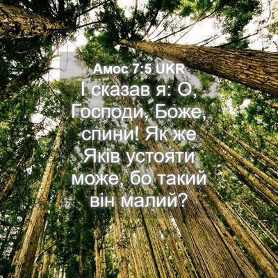 Picture 04 - Амос 7:5 UKR - І сказав я: О, Господи, Боже, - Bible Verse Picture