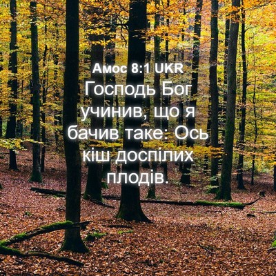 Picture 04 - Амос 8:1 UKR - Господь Бог учинив, що я - Bible Verse Picture