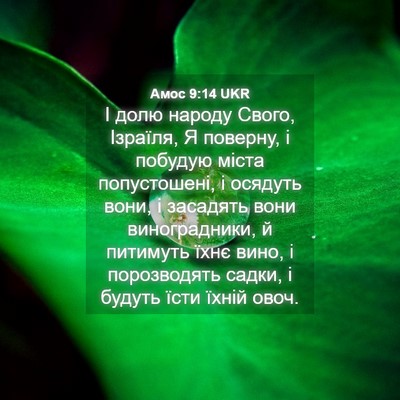 Picture 04 - Амос 9:14 UKR - І долю народу Свого, - Bible Verse Picture