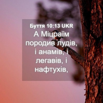 Picture 04 - Буття 10:13 UKR - А Міцраїм породив лудів, і - Bible Verse Picture