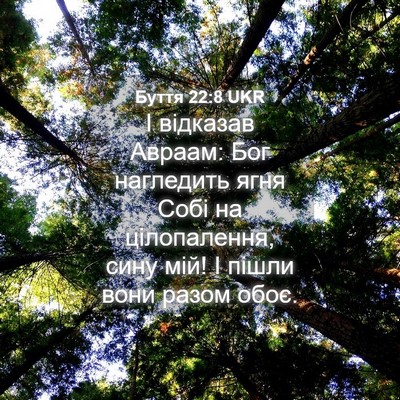 Picture 04 - Буття 22:8 UKR - І відказав Авраам: Бог - Bible Verse Picture