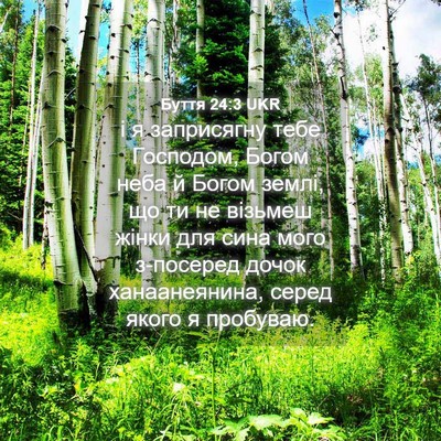 Picture 04 - Буття 24:3 UKR - і я заприсягну тебе - Bible Verse Picture