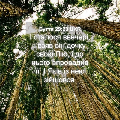 Picture 04 - Буття 29:23 UKR - І сталося ввечері, і взяв - Bible Verse Picture