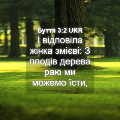 Picture 04 - Буття 3:2 UKR - І відповіла жінка змієві: З - Bible Verse Picture