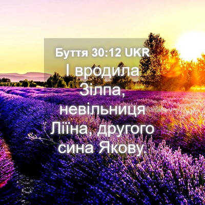 Picture 04 - Буття 30:12 UKR - І вродила Зілпа, - Bible Verse Picture