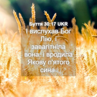 Picture 04 - Буття 30:17 UKR - І вислухав Бог Лію, і - Bible Verse Picture