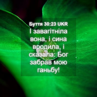 Picture 04 - Буття 30:23 UKR - І завагітніла вона, і сина - Bible Verse Picture