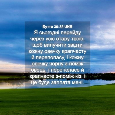 Picture 04 - Буття 30:32 UKR - Я сьогодні перейду через - Bible Verse Picture