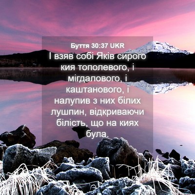 Picture 04 - Буття 30:37 UKR - І взяв собі Яків сирого кия - Bible Verse Picture