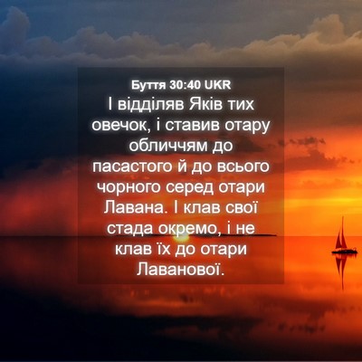 Picture 04 - Буття 30:40 UKR - І відділяв Яків тих овечок, - Bible Verse Picture