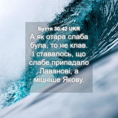 Picture 04 - Буття 30:42 UKR - А як отара слаба була, то не - Bible Verse Picture