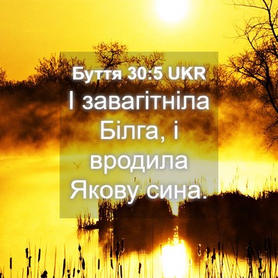 Picture 04 - Буття 30:5 UKR - І завагітніла Білга, і - Bible Verse Picture