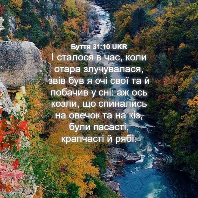 Picture 04 - Буття 31:10 UKR - І сталося в час, коли отара - Bible Verse Picture