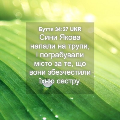 Picture 04 - Буття 34:27 UKR - Сини Якова напали на трупи, - Bible Verse Picture