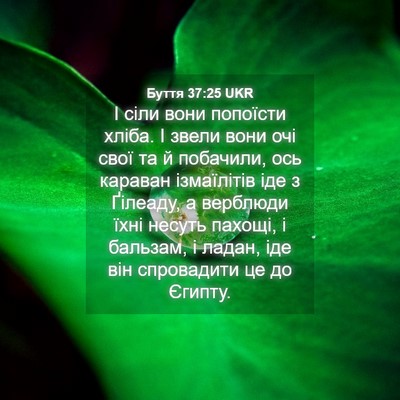 Picture 04 - Буття 37:25 UKR - І сіли вони попоїсти хліба. - Bible Verse Picture