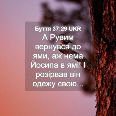 Picture 04 - Буття 37:29 UKR - А Рувим вернувся до ями, аж - Bible Verse Picture