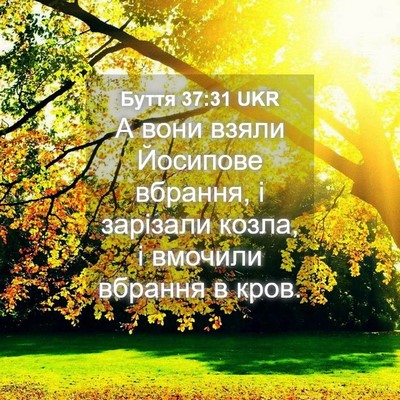 Picture 04 - Буття 37:31 UKR - А вони взяли Йосипове - Bible Verse Picture