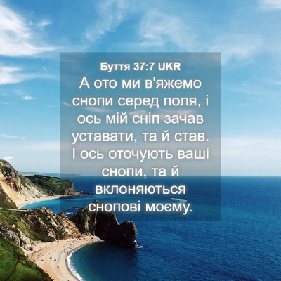 Picture 04 - Буття 37:7 UKR - А ото ми в'яжемо снопи - Bible Verse Picture