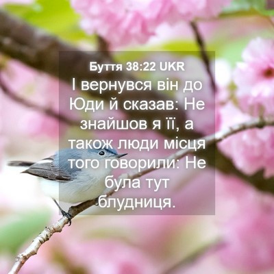 Picture 04 - Буття 38:22 UKR - І вернувся він до Юди й - Bible Verse Picture
