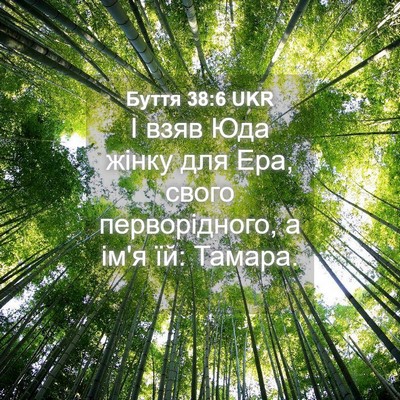 Picture 04 - Буття 38:6 UKR - І взяв Юда жінку для Ера, - Bible Verse Picture