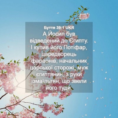 Picture 04 - Буття 39:1 UKR - А Йосип був відведений до - Bible Verse Picture