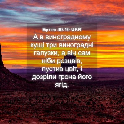 Picture 04 - Буття 40:10 UKR - А в виноградному кущі три - Bible Verse Picture