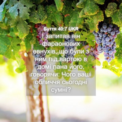 Picture 04 - Буття 40:7 UKR - І запитав він фараонових - Bible Verse Picture