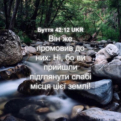 Picture 04 - Буття 42:12 UKR - Він же промовив до них: Ні, - Bible Verse Picture