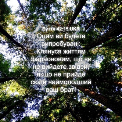 Picture 04 - Буття 42:15 UKR - Оцим ви будете - Bible Verse Picture
