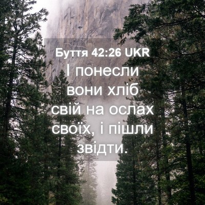 Picture 04 - Буття 42:26 UKR - І понесли вони хліб свій на - Bible Verse Picture