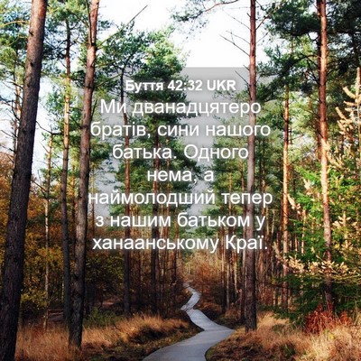 Picture 04 - Буття 42:32 UKR - Ми дванадцятеро братів, - Bible Verse Picture