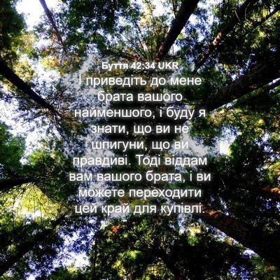 Picture 04 - Буття 42:34 UKR - І приведіть до мене брата - Bible Verse Picture