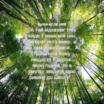 Picture 04 - Буття 42:38 UKR - А той відказав: Не зійде з - Bible Verse Picture