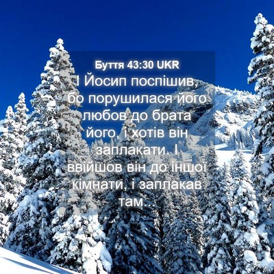 Picture 04 - Буття 43:30 UKR - І Йосип поспішив, бо - Bible Verse Picture