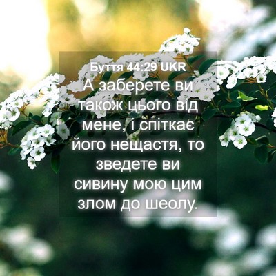 Picture 04 - Буття 44:29 UKR - А заберете ви також цього - Bible Verse Picture